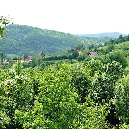 Apartments Zugec Seliste Dreznicko Exteriér fotografie