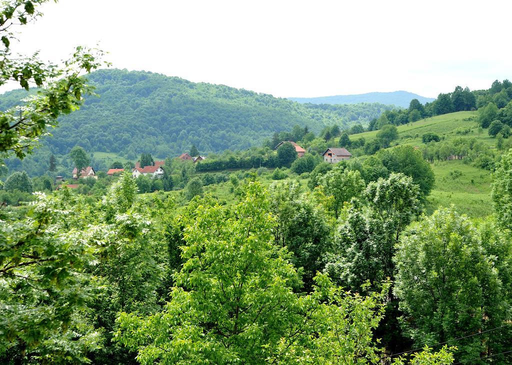 Apartments Zugec Seliste Dreznicko Exteriér fotografie